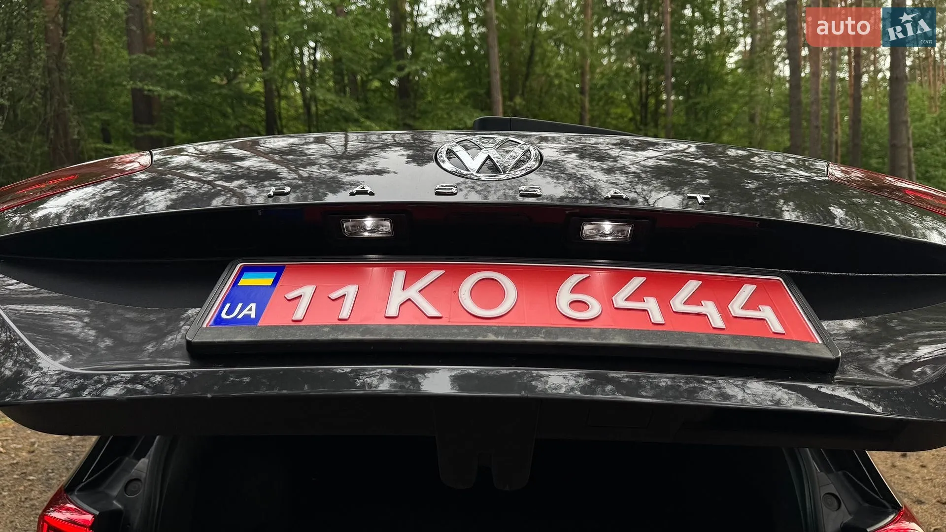 2019 Volkswagen Passat - мініатюра 62