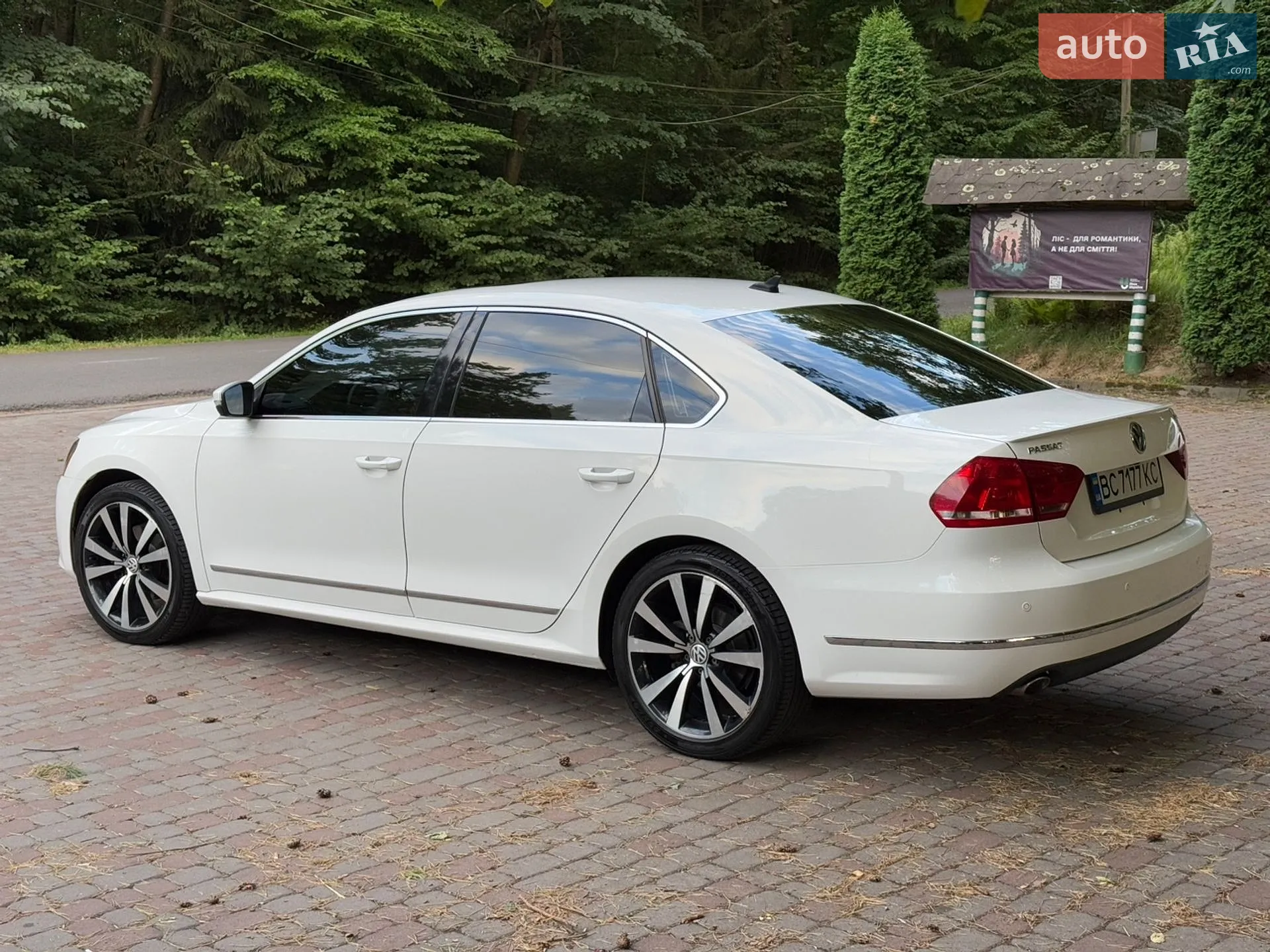 2013 Volkswagen Passat - мініатюра 12