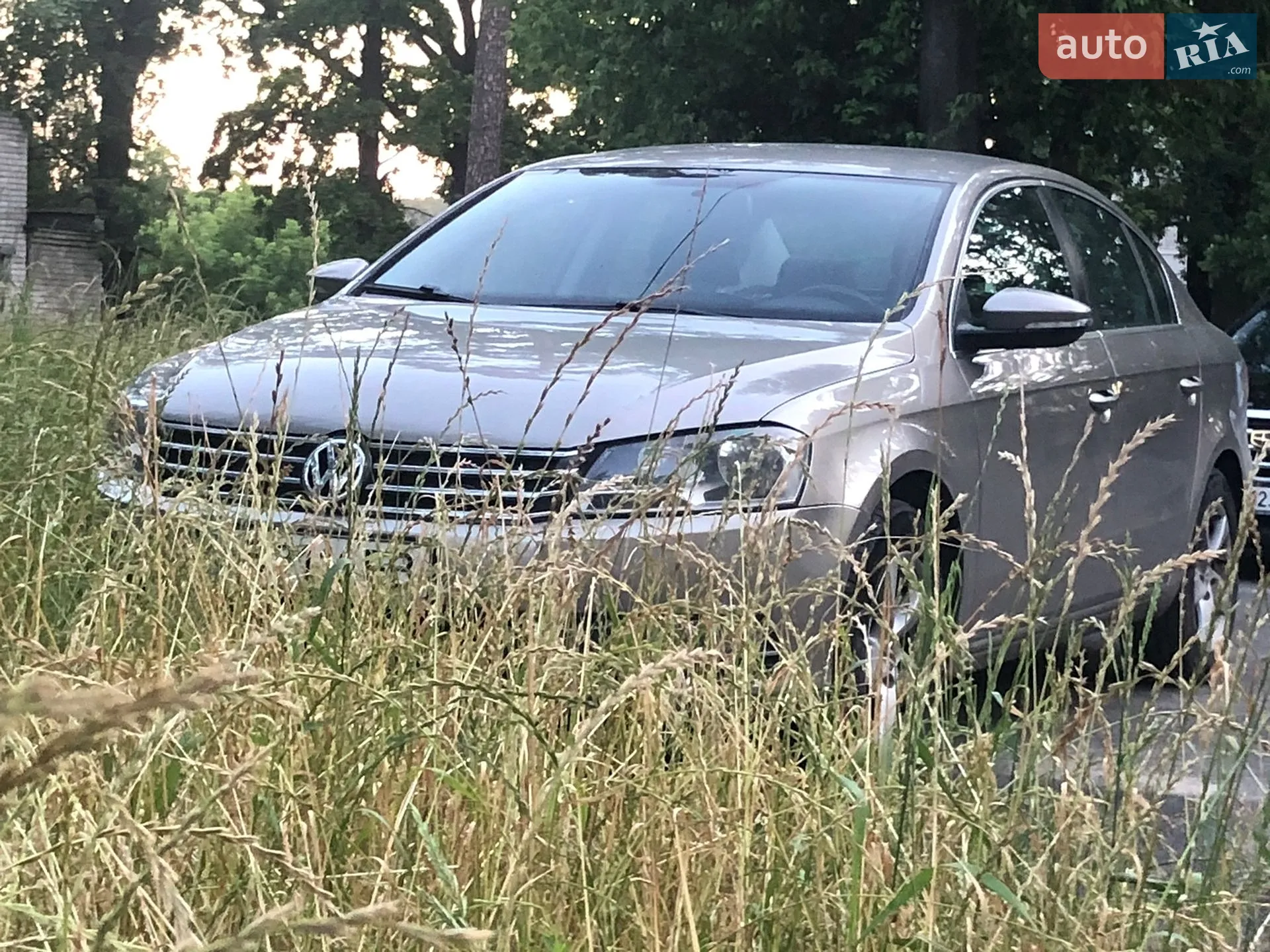 2013 Volkswagen Passat - мініатюра 3