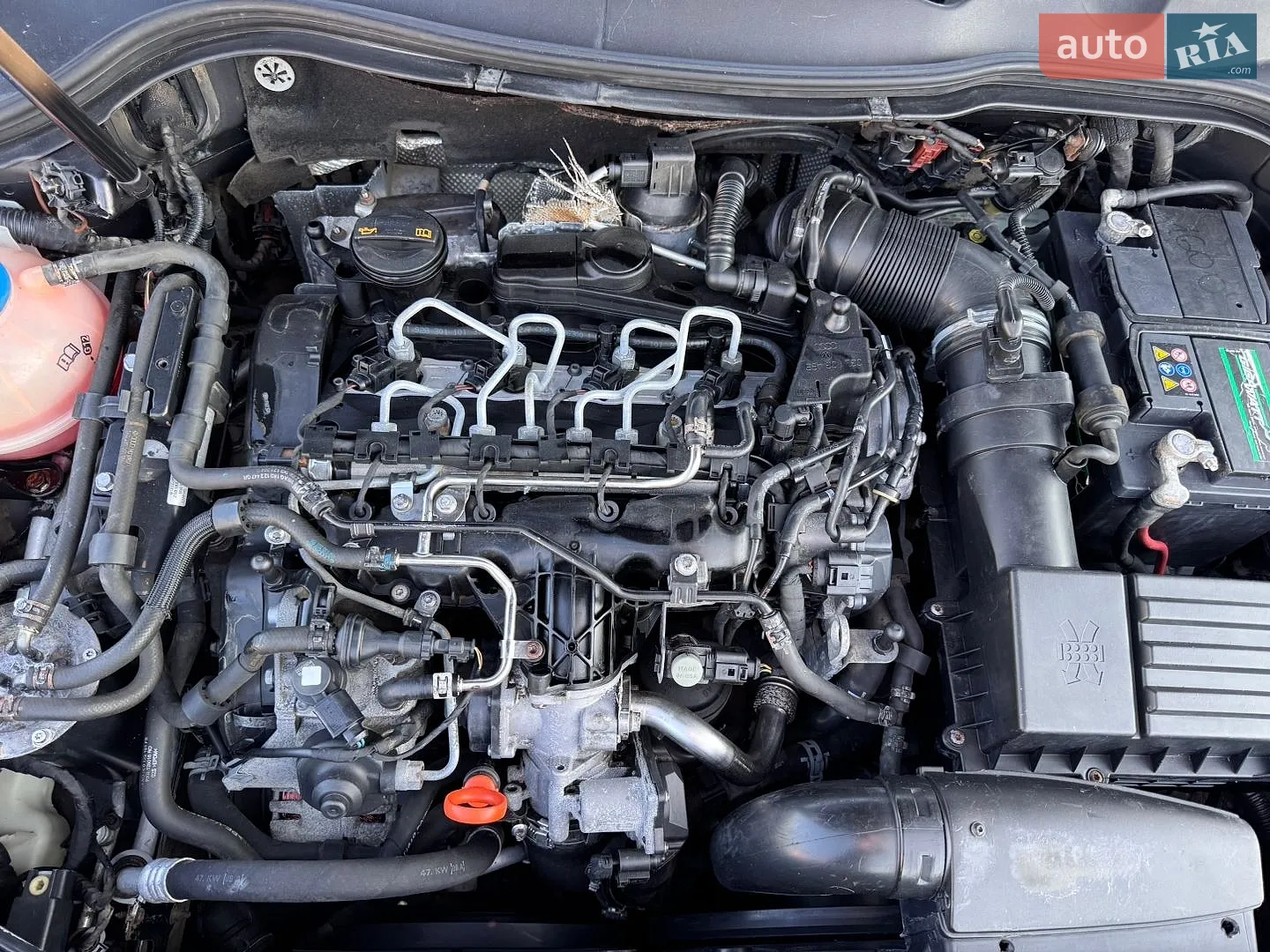 2010 Volkswagen Passat - мініатюра 15