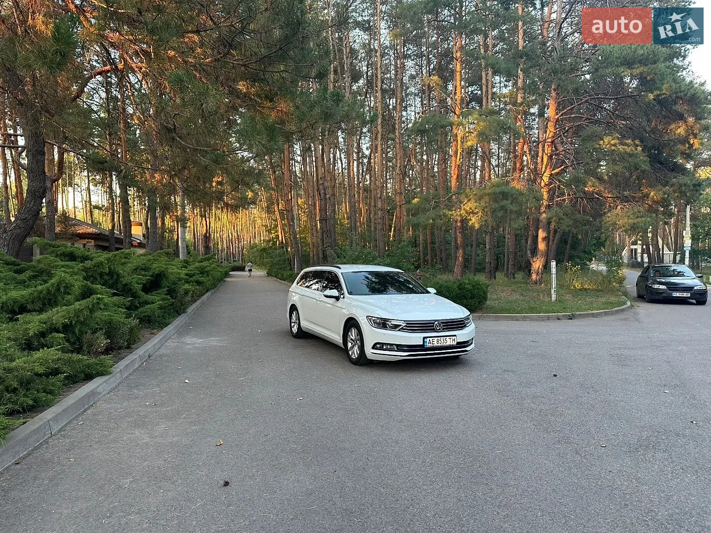 2017 Volkswagen Passat - мініатюра 2