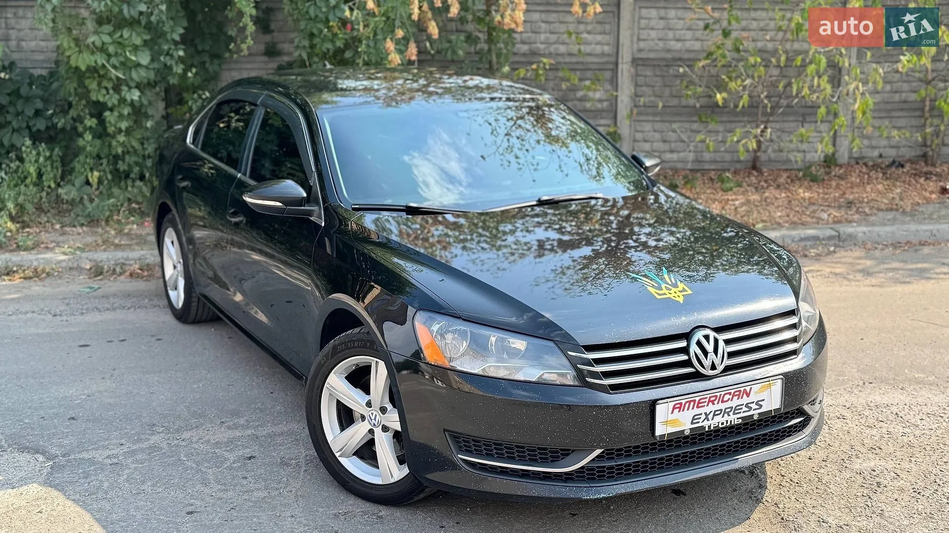 2012 Volkswagen Passat - фото 1