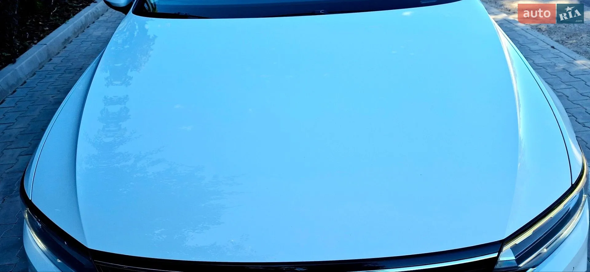2019 Volkswagen Passat - мініатюра 25