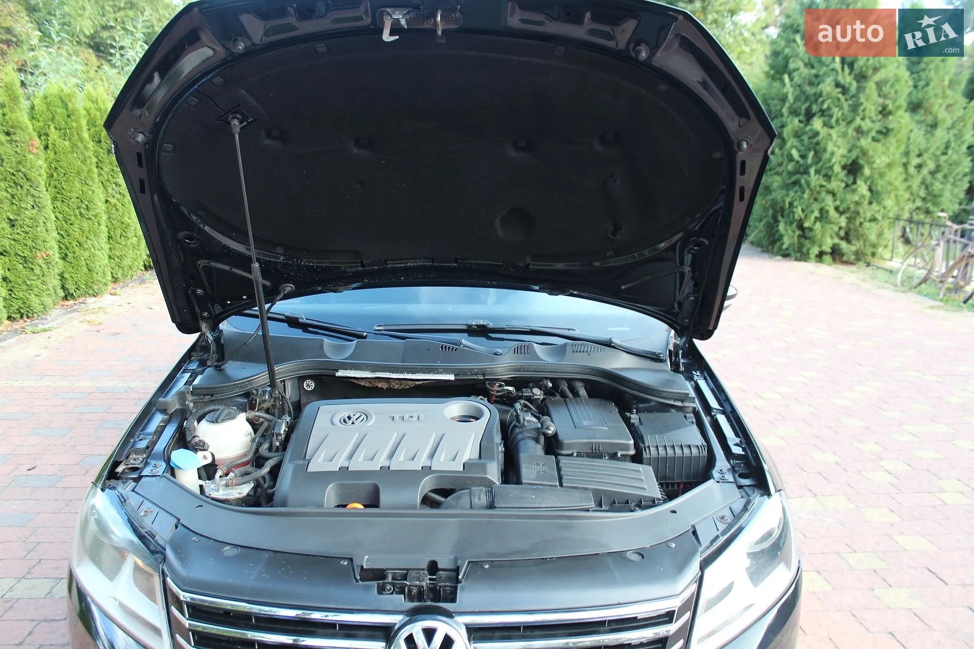 2011 Volkswagen Passat - мініатюра 31