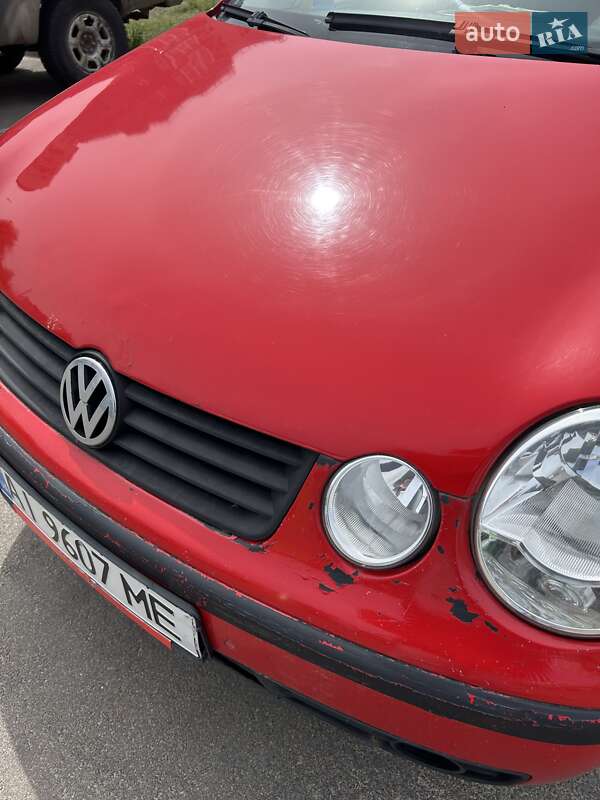 Хетчбек Volkswagen Polo 2003 в Бучі