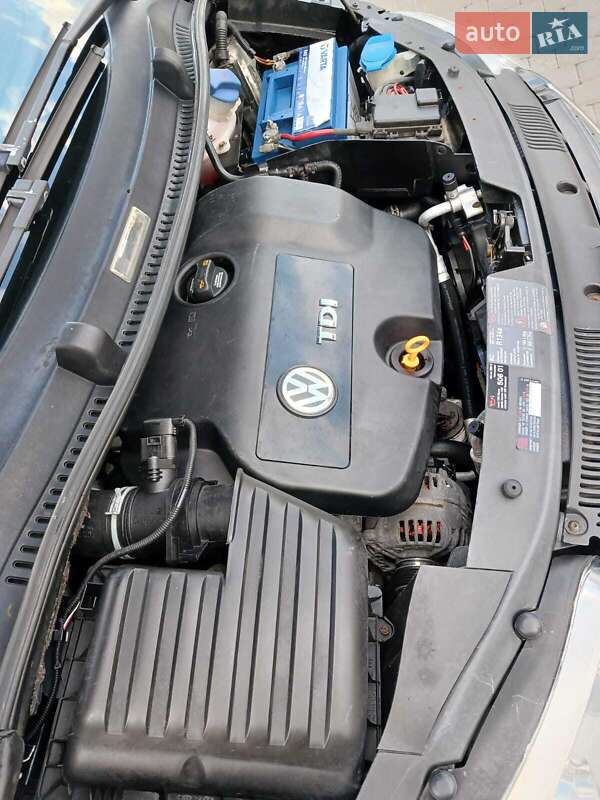 Минивэн Volkswagen Sharan 2008 в Коломые