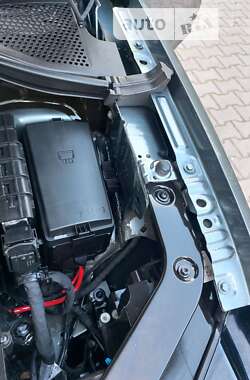 Внедорожник / Кроссовер Volkswagen Tiguan 2020 в Запорожье