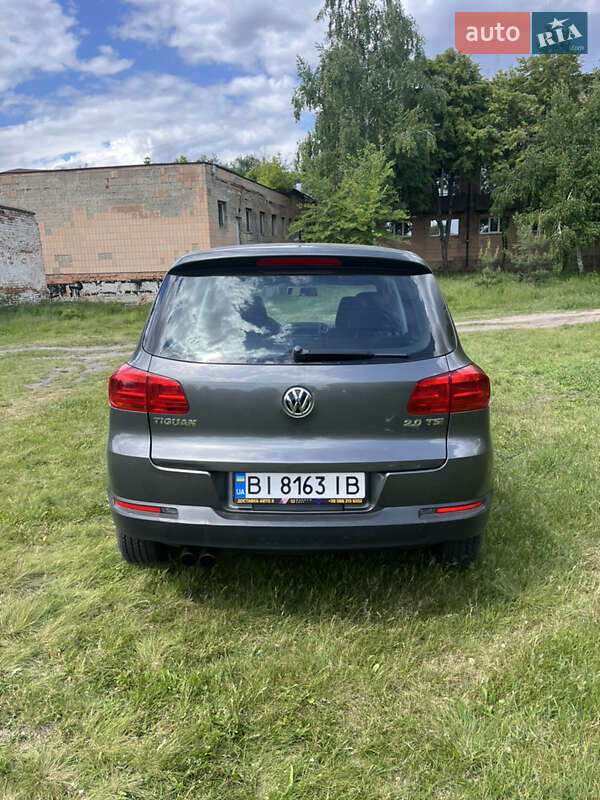 Внедорожник / Кроссовер Volkswagen Tiguan 2014 в Полтаве