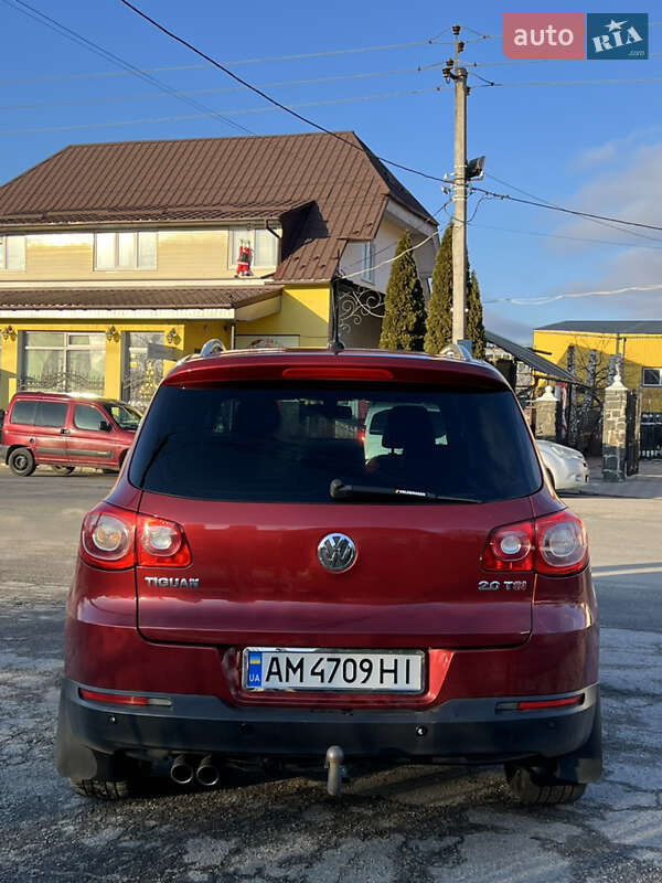 Внедорожник / Кроссовер Volkswagen Tiguan 2009 в Звягеле