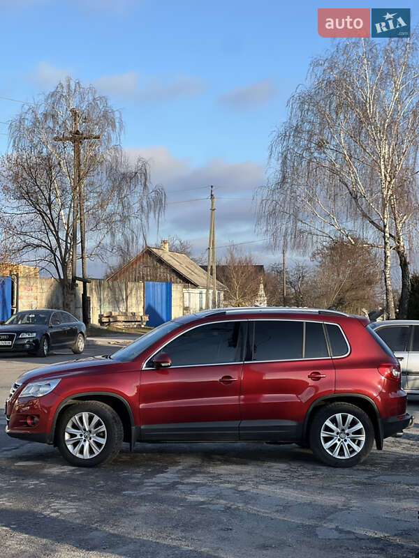 Внедорожник / Кроссовер Volkswagen Tiguan 2009 в Звягеле