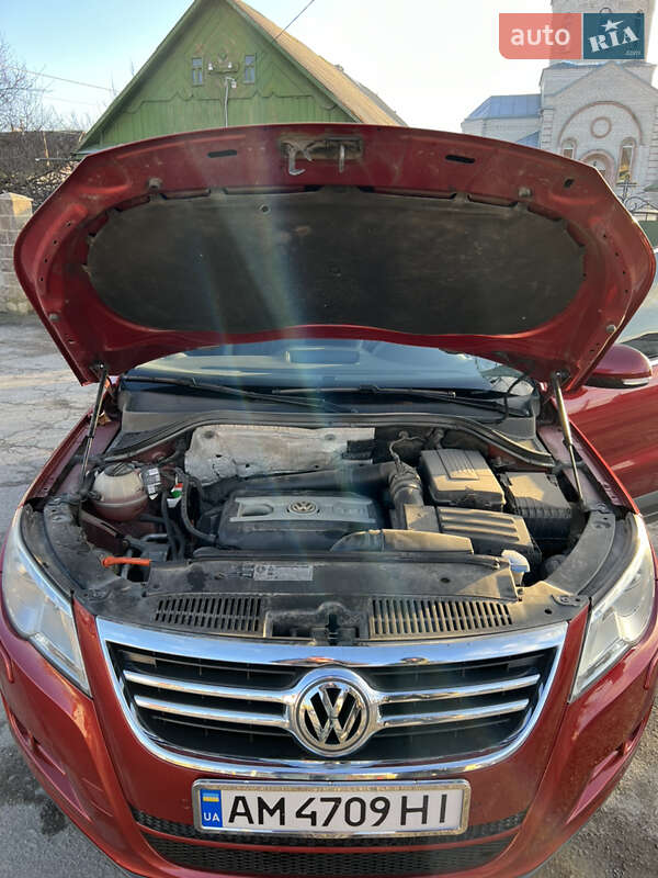 Внедорожник / Кроссовер Volkswagen Tiguan 2009 в Звягеле