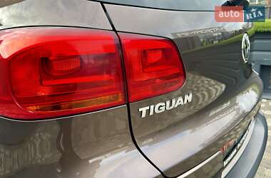 Позашляховик / Кросовер Volkswagen Tiguan 2013 в Києві