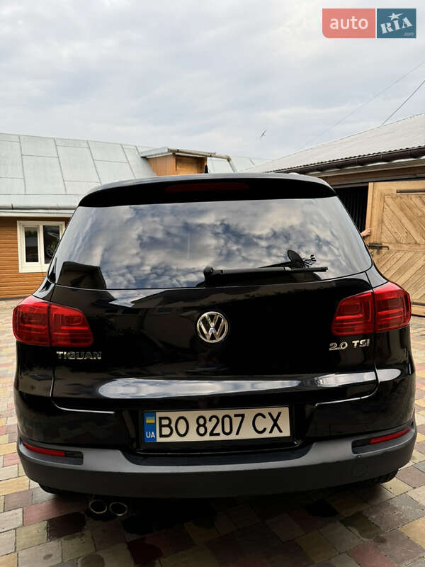Внедорожник / Кроссовер Volkswagen Tiguan 2013 в Бережанах