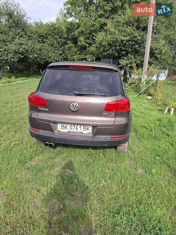 Внедорожник / Кроссовер Volkswagen Tiguan 2013 в Сарнах