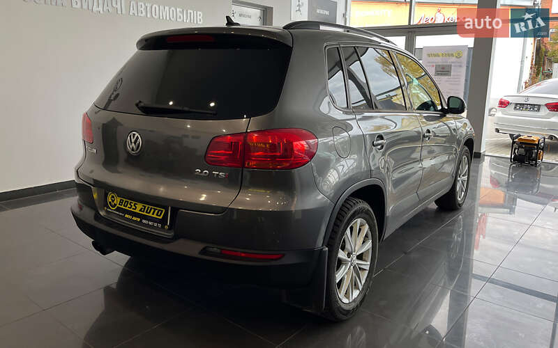 Позашляховик / Кросовер Volkswagen Tiguan 2014 в Шептицькому фото 7 Позашляховик / Кросовер Volkswagen Tiguan 2014 в Шептицькому