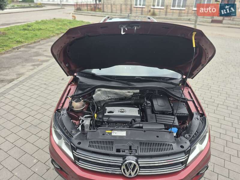 Внедорожник / Кроссовер Volkswagen Tiguan 2014 в Дубно фото 22 Внедорожник / Кроссовер Volkswagen Tiguan 2014 в Дубно