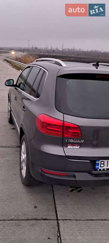 Внедорожник / Кроссовер Volkswagen Tiguan 2016 в Кобеляках