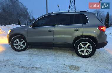 Позашляховик / Кросовер Volkswagen Tiguan 2010 в Кременці