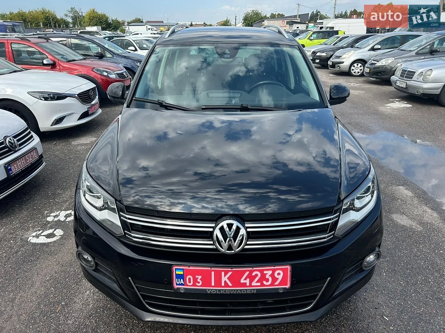 2013 Volkswagen Tiguan - мініатюра 12