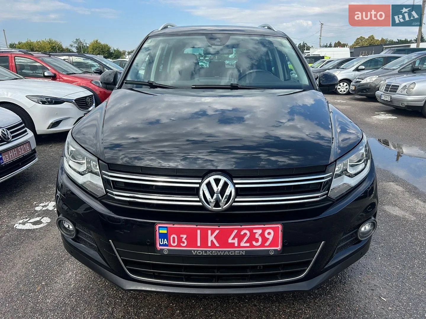 2013 Volkswagen Tiguan - мініатюра 13
