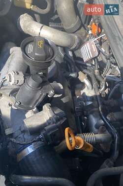 Мікроавтобус вантажний (до 3,5т) Volkswagen Transporter 2006 в 