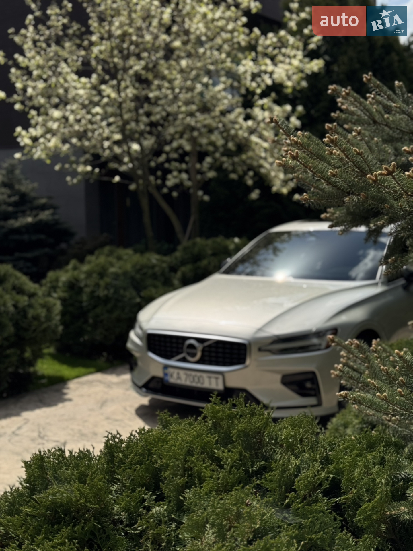2019 Volvo S60 - мініатюра 4