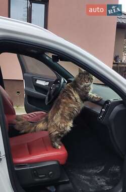 Позашляховик / Кросовер Volvo XC40 2020 в Києві