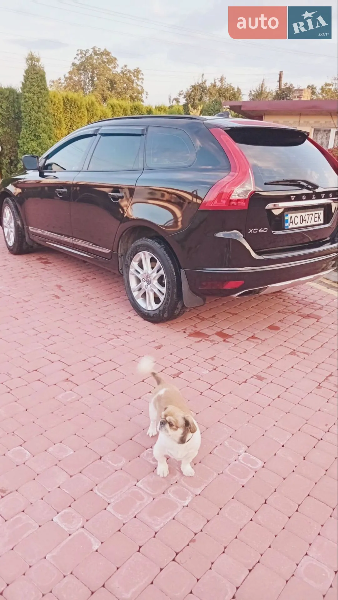 2015 Volvo XC60 - мініатюра 4