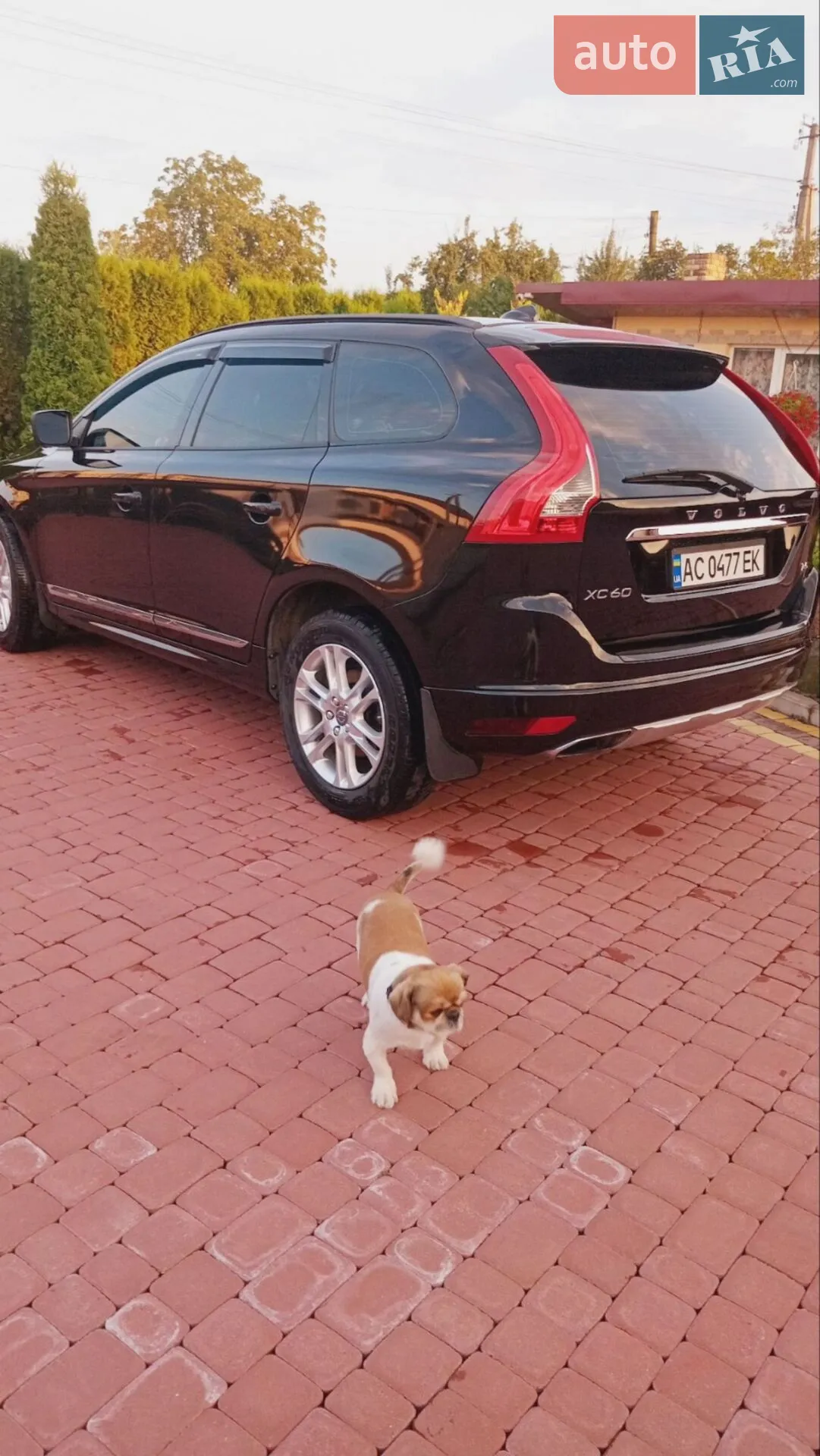 2015 Volvo XC60 - мініатюра 2