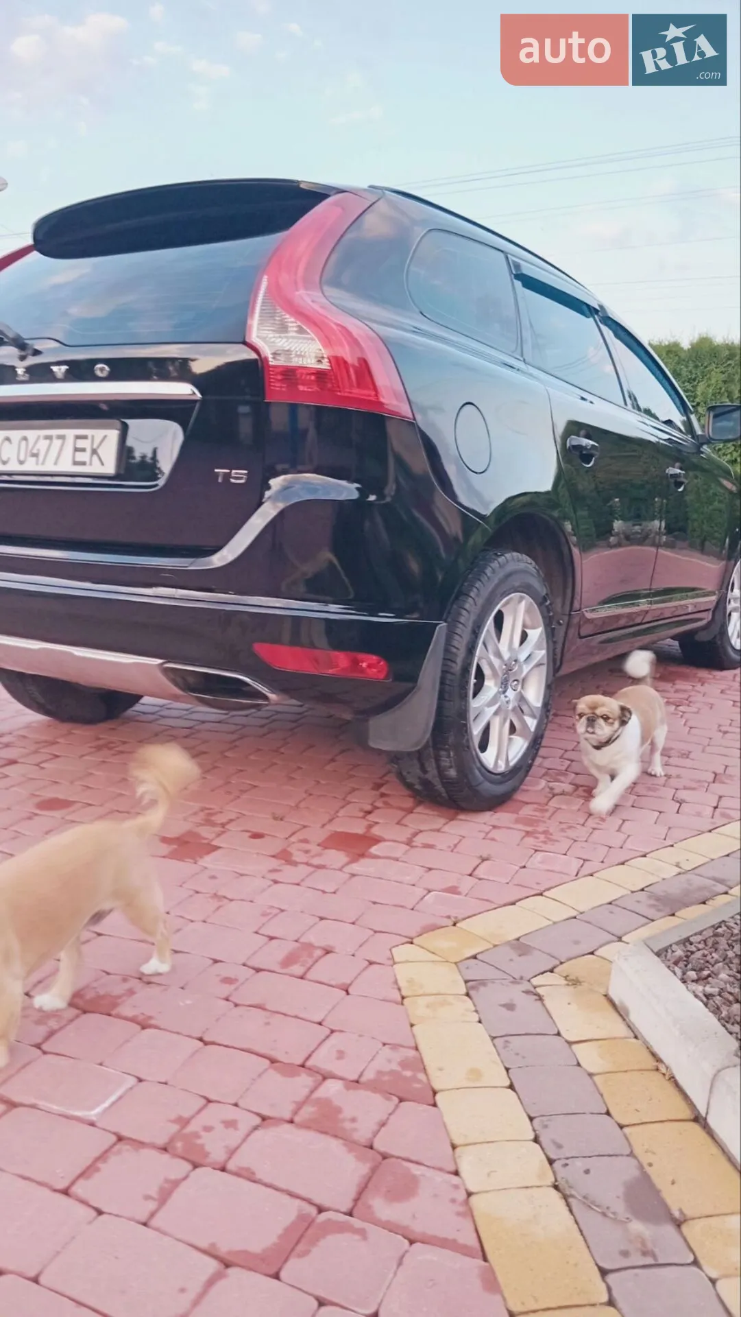 2015 Volvo XC60 - мініатюра 11