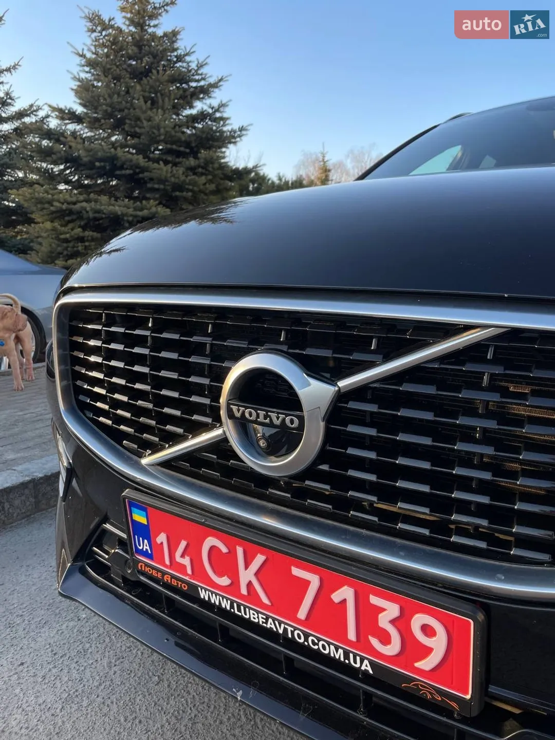 2020 Volvo XC60 - мініатюра 6