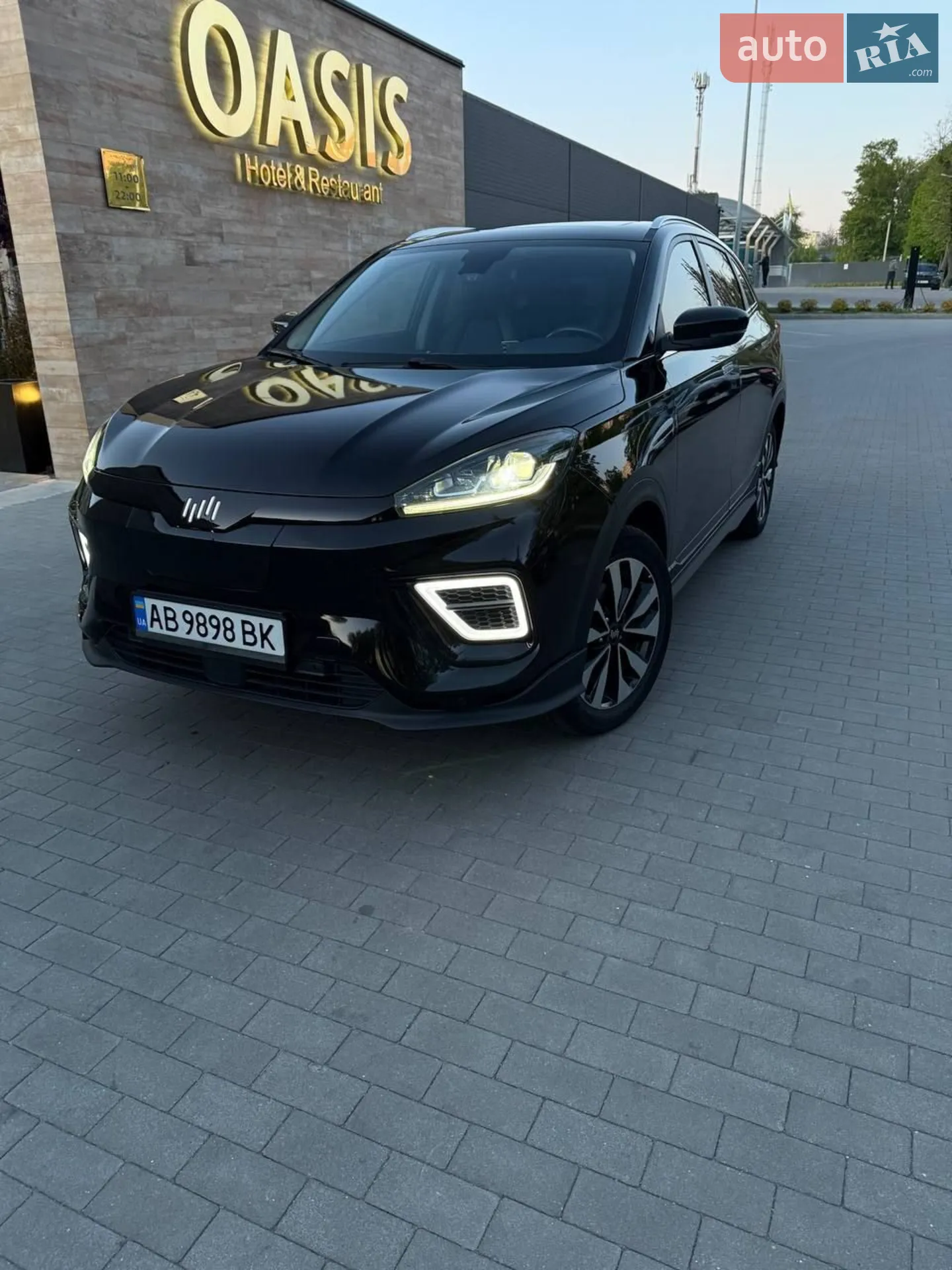 2020 Weltmeister EX5 - мініатюра 9