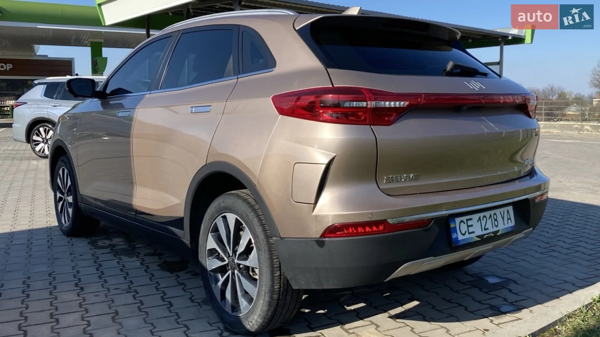 2019 Weltmeister EX5 - мініатюра 4