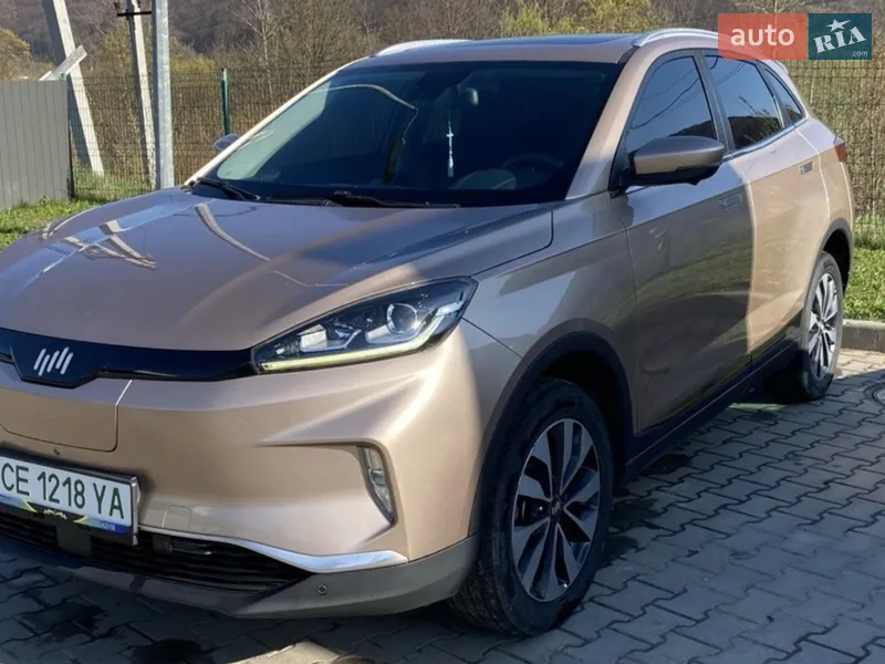 Weltmeister EX5 2019