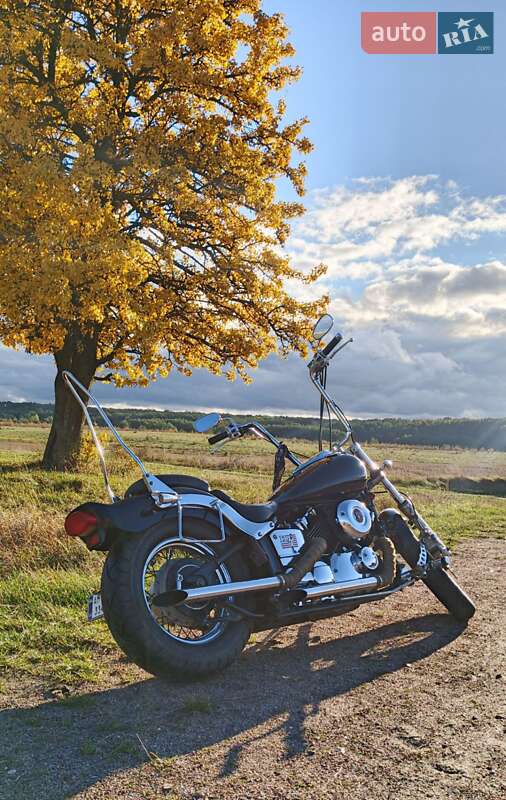 Мотоцикл Круізер Yamaha Drag Star 400 2001 в Бердичеві фото 7 Мотоцикл Круізер Yamaha Drag Star 400 2001 в Бердичеві