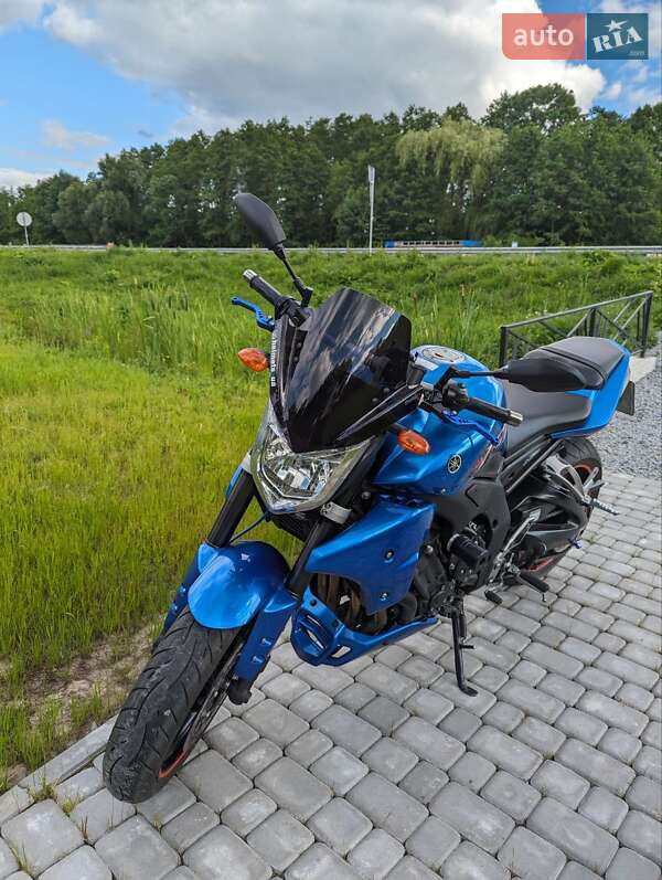 Мотоцикл Без обтікачів (Naked bike) Yamaha FZ-1 2007 в Звягелі фото 10 Мотоцикл Без обтікачів (Naked bike) Yamaha FZ-1 2007 в Звягелі