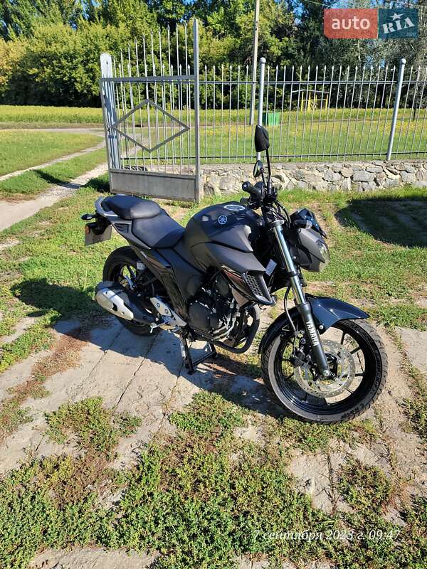 Мотоцикл Туризм Yamaha FZ 250 2021 в Коломаке фото 6 Мотоцикл Туризм Yamaha FZ 250 2021 в Коломаке