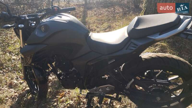 Мотоцикл Без обтекателей (Naked bike) Yamaha FZ 250 2022 в Десне фото 16 Мотоцикл Без обтекателей (Naked bike) Yamaha FZ 250 2022 в Десне