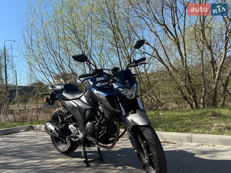 Мотоцикл Без обтекателей (Naked bike) Yamaha FZ 250 2023 в Львове