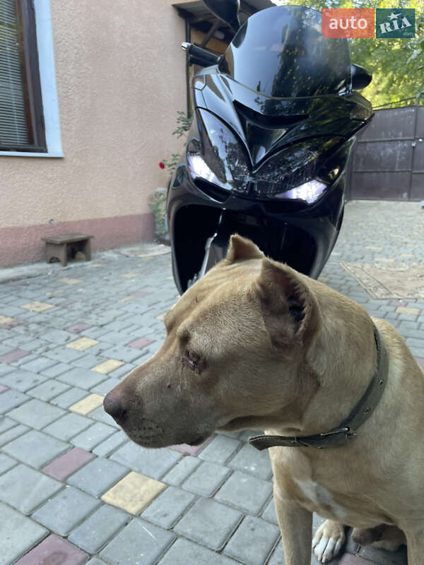 Максі-скутер Yamaha Majesty 400 2016 в Одесі фото 2 Максі-скутер Yamaha Majesty 400 2016 в Одесі