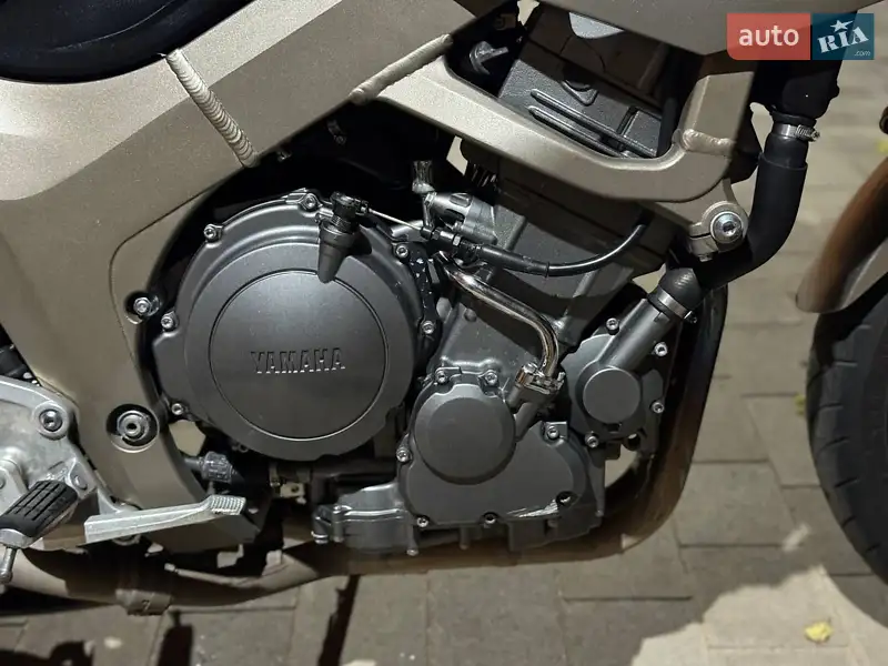 Yamaha TDM 900 2002 VIN JYARN081000009241 фото оголошення 14 з 29