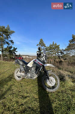 Мотоцикл Внедорожный (Enduro) Yamaha XT 660Z Tenere 2009 в 