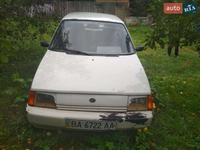 Хэтчбек ЗАЗ 1102 Таврия 1995 в Ольшанке