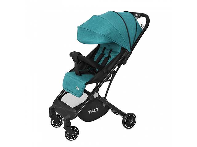Коляска прогулочная TILLY Bella T-163 Pear Green