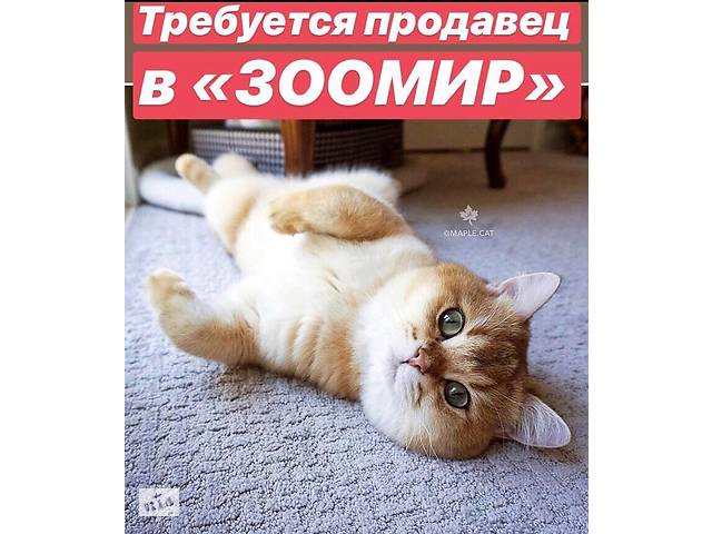 Требуется продавец консультант и ветврач в зоомир