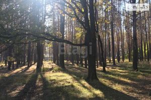 Продается земельный участок 25 соток в Киевской области