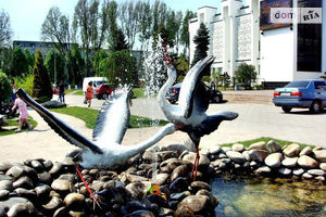 Здається в оренду кімната 16 кв. м у Тернополі