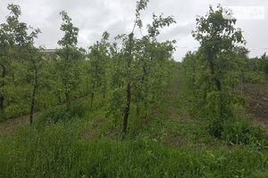 Продается земельный участок 20 соток в Винницкой области