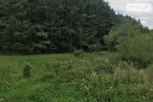 Продается земельный участок 50 соток в Львовской области