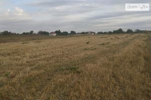 Продается земельный участок 24 соток в Житомирской области